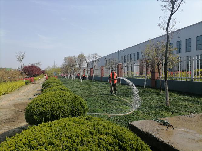 安徽皖新電機(jī)有限公司廠(chǎng)區(qū)園林綠化養(yǎng)護(hù)改造工程(圖3) 1 副本.jpg